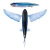 Nomad Lures Slipstream 200 Flying Fish